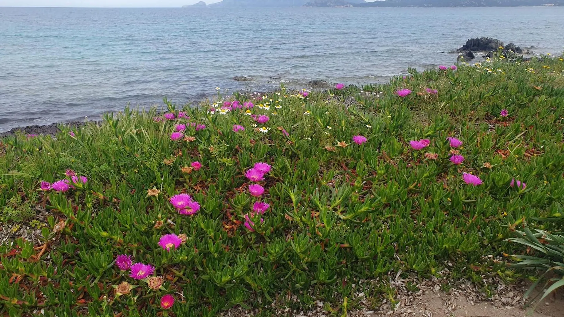 Holiday home Villa Del Golfo Olbia